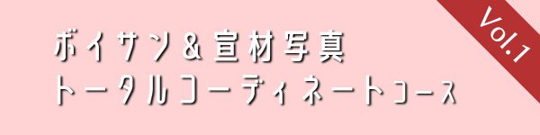 voicesample