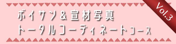 voicesamplevol.3